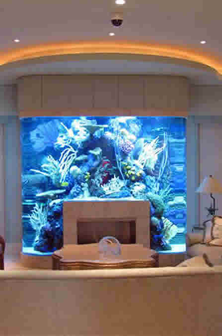 Custom Built Aquariums