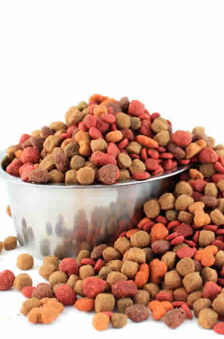 Dog food